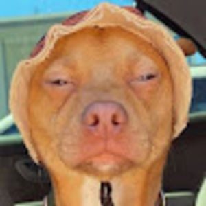 Meet your Posher, Russell